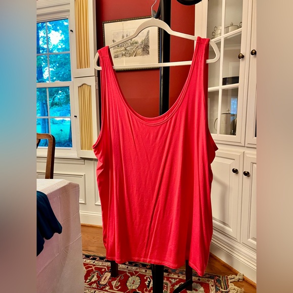 Lane Bryant Pink and Blue Oversized Tank Tops - Picture 4 of 9